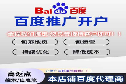 SEM公司案例研究：数据驱动营销策略